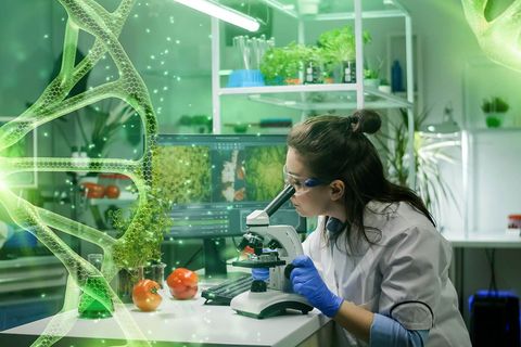 From DNA Manipulation to Lab-Grown Tissues: A New Era in Biotechnology