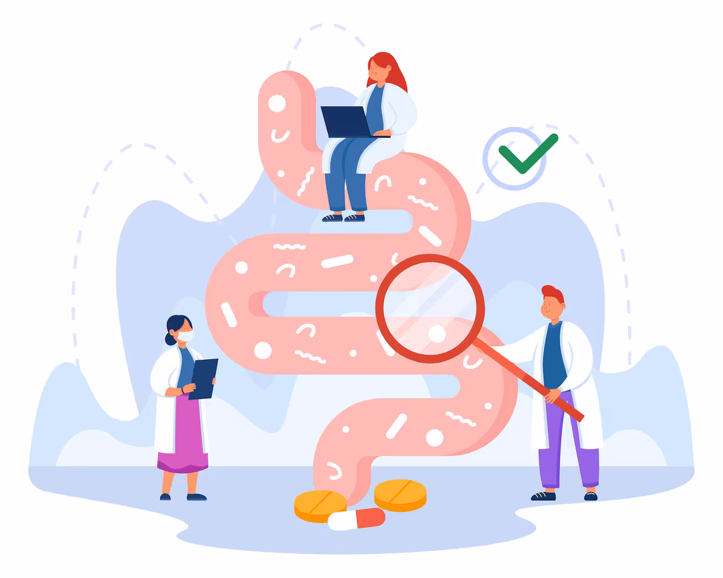 A Complete Guide to Understanding Digestive Health and Gut Function